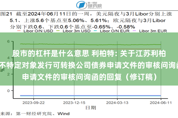 股市的杠杆是什么意思 利柏特: 关于江苏利柏特股份有限公司向不特定对象发行可转换公司债券申请文件的审核问询函的回复（修订稿）